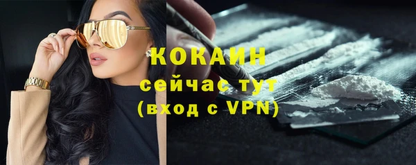 первитин Коряжма