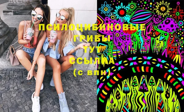 МДПВ Костерёво