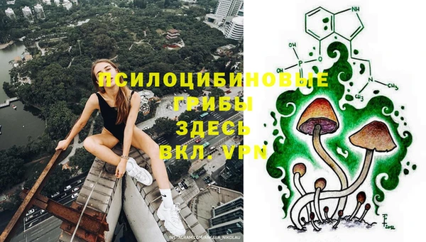 МДПВ Костерёво