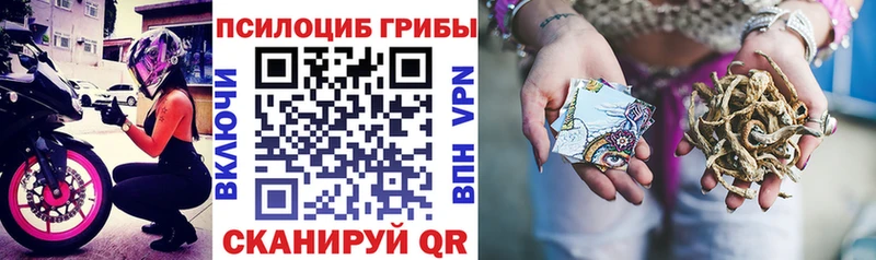 Галлюциногенные грибы MAGIC MUSHROOMS  Невинномысск 