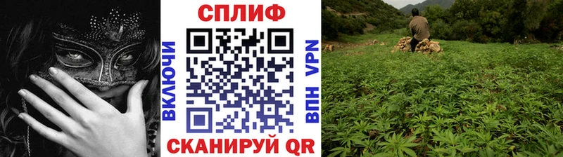 Канабис ГИДРОПОН  Невинномысск 